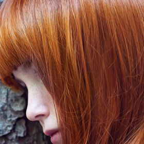 Колористика